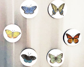 SET of 6 butterfly magnets, realistic detailed butterflies, kitchen decor, nature fridge magnet, butterfly gift, cottagecore, nature gift