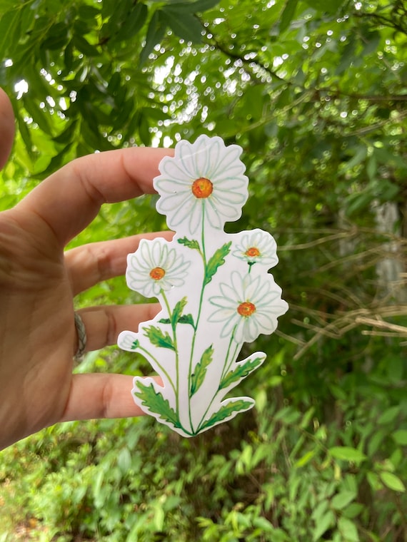 Daisy Sticker, Water Resistant, Vinyl Sticker, April Birth Flower, Laptop,  Scrapbook, Tumbler Sticker, Flower Sticker 