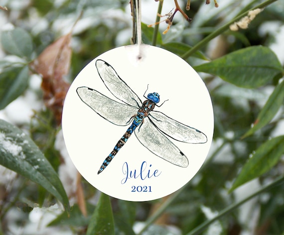 Identification De La Libellule Bleue