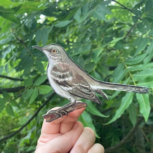 Mockingbird sticker, water resistant, decal, realistic wildlife, nature gift, laptop, scrapbook, tumbler sticker, bird sticker
