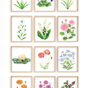 12 枚セット、誕生花プリント、花アートプリント、植物プリント、花の壁アート、誕生月の装飾、保育園の花の装飾、水彩画