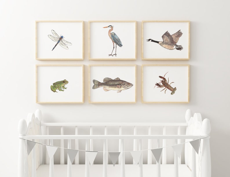 Attracktive frog decor for baby room Frog Theme Room Decor Print Wildlife Nursery Baby Boy Wall Art Painting Boys Forest Gifts Prints Collectibles Vadel Com