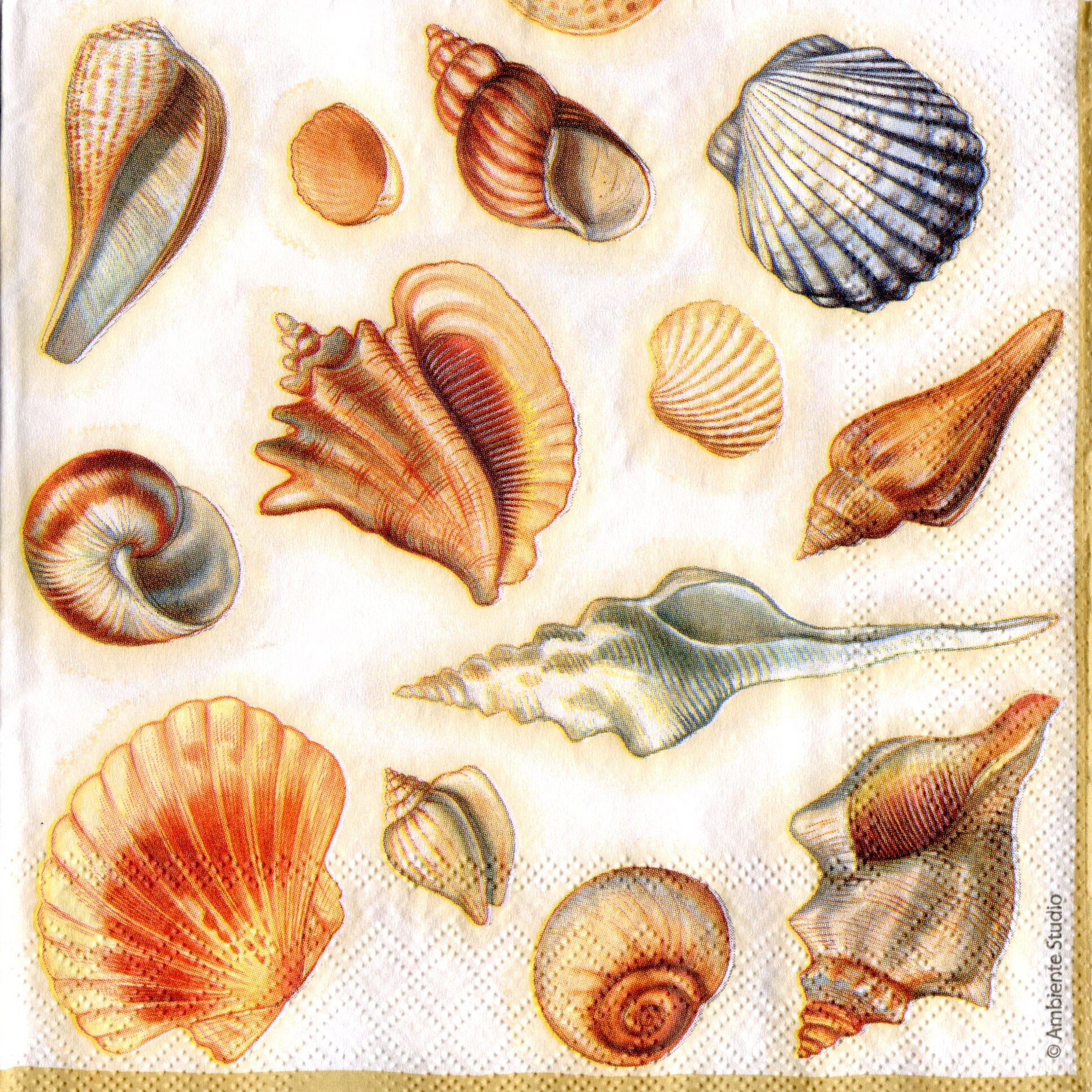 4 seashell napkins decoupage Sea life napkins Tissue Etsy