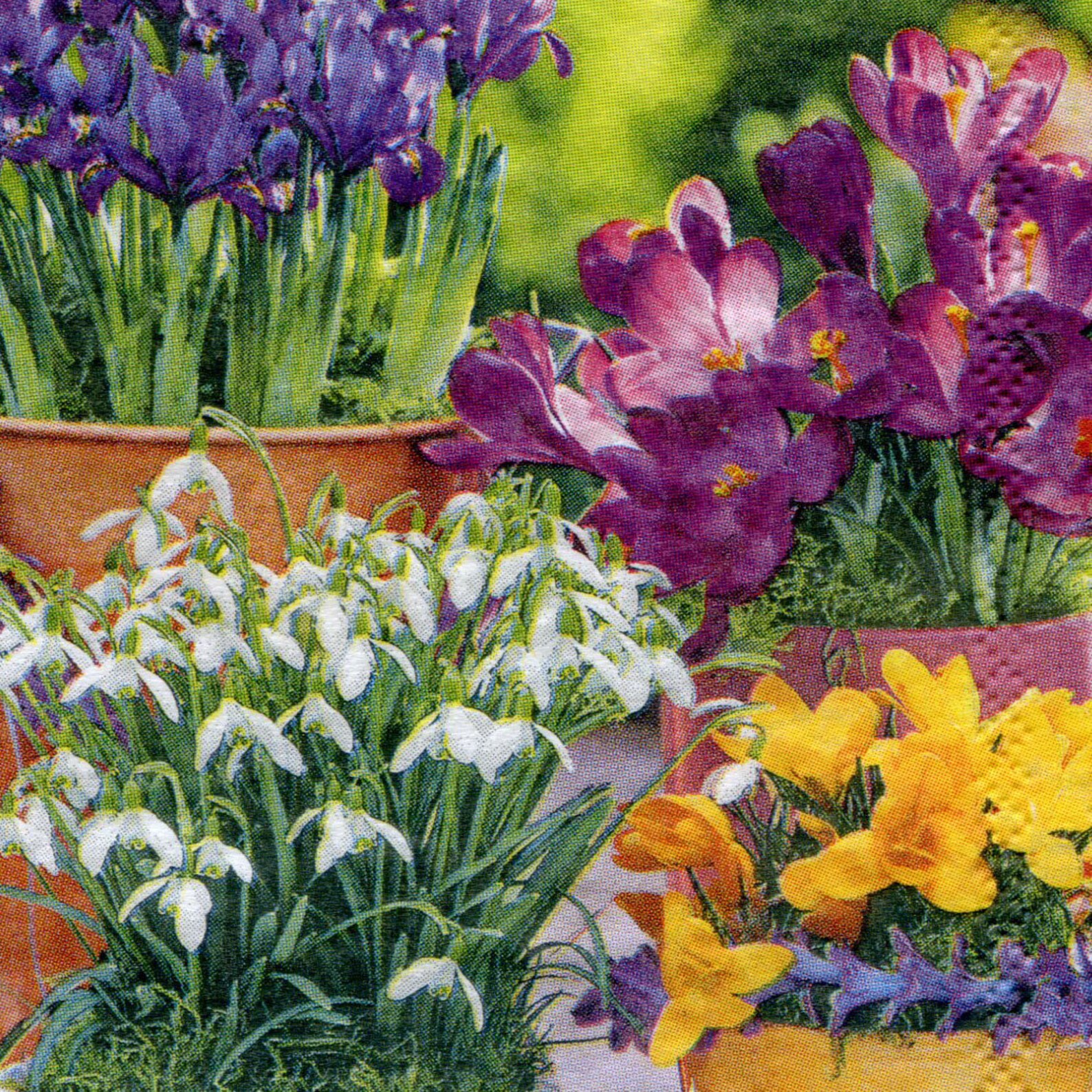 4 Spring Decoupage Napkins Floral Paper Serviettes Spring Etsy