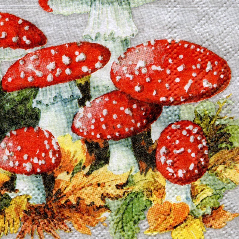 2 single paper napkins decoupage crafts or collection Serviette Forest Mushrooms