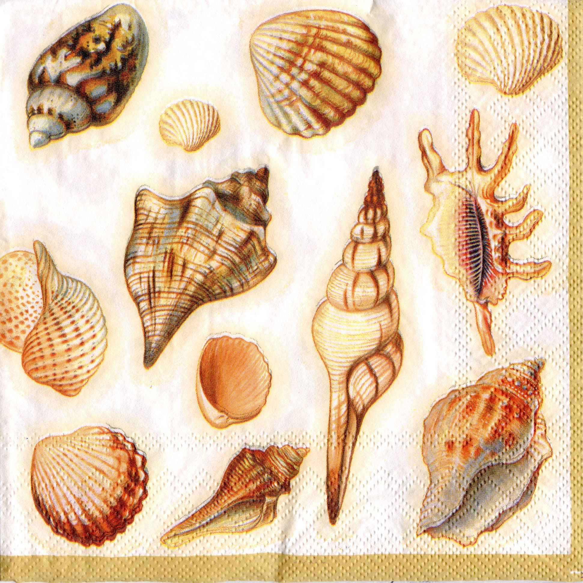 4 seashell napkins decoupage Sea life napkins Tissue Etsy