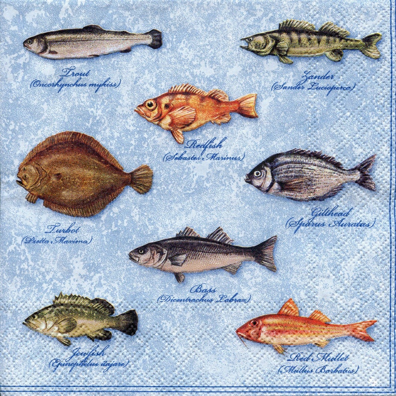 4 fish napkins decoupage Sea life paper napkins Fish with names serviettes 13x13 inch Scrapbooking paper