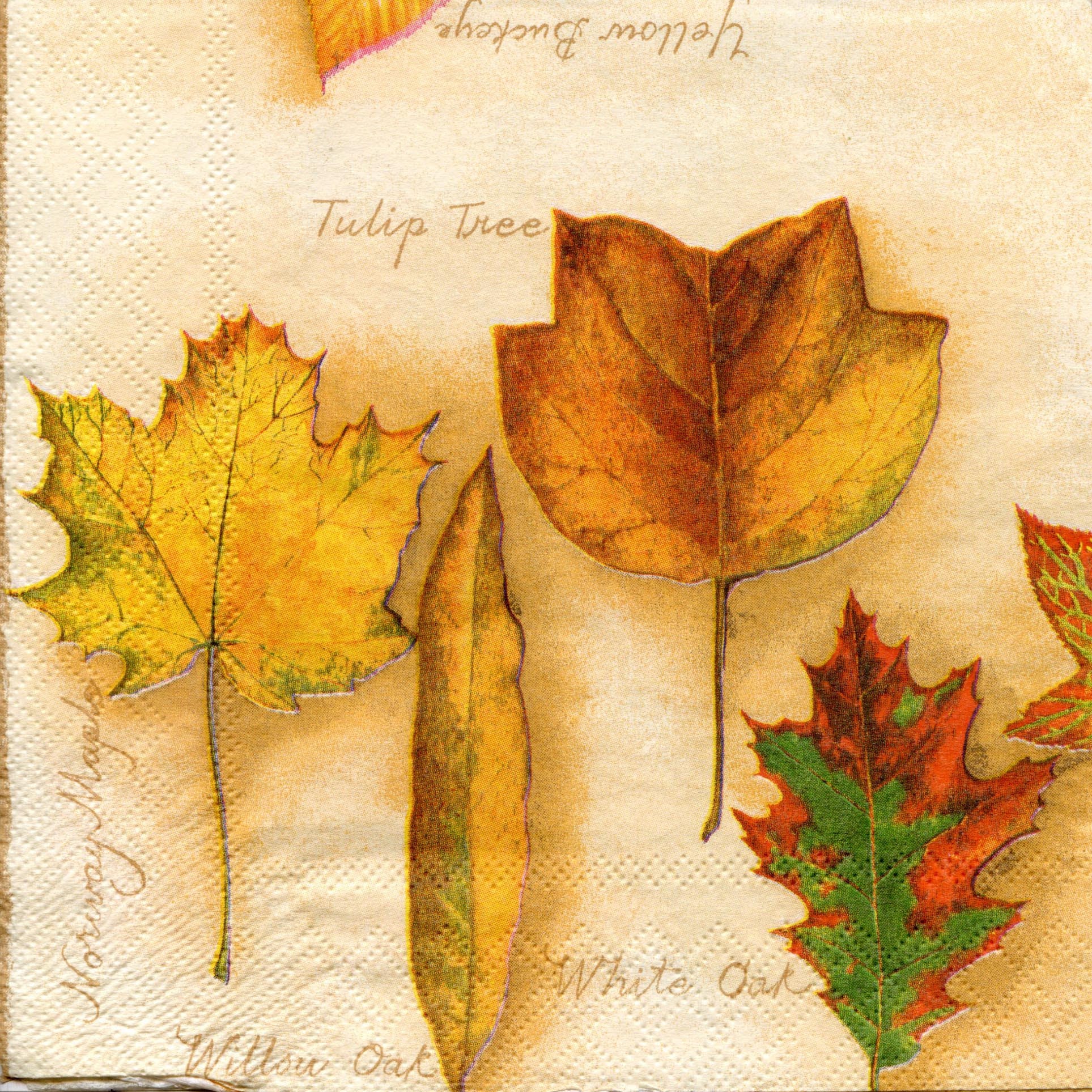 4 fall decoupage napkins Autumn leaves serviettes decoupage Etsy