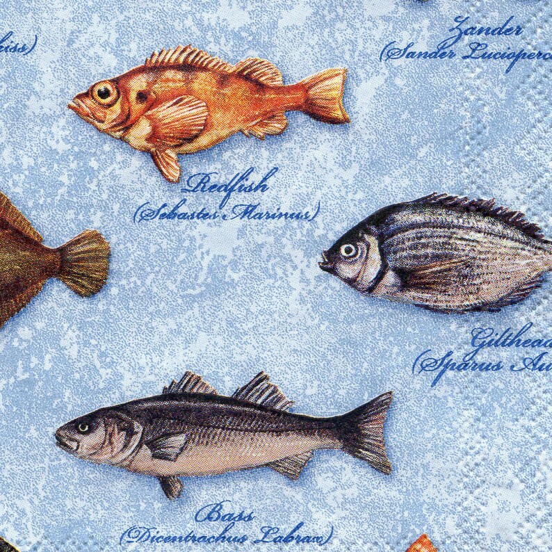 4 fish napkins decoupage Sea life paper napkins Fish with names serviettes 13x13 inch Scrapbooking paper