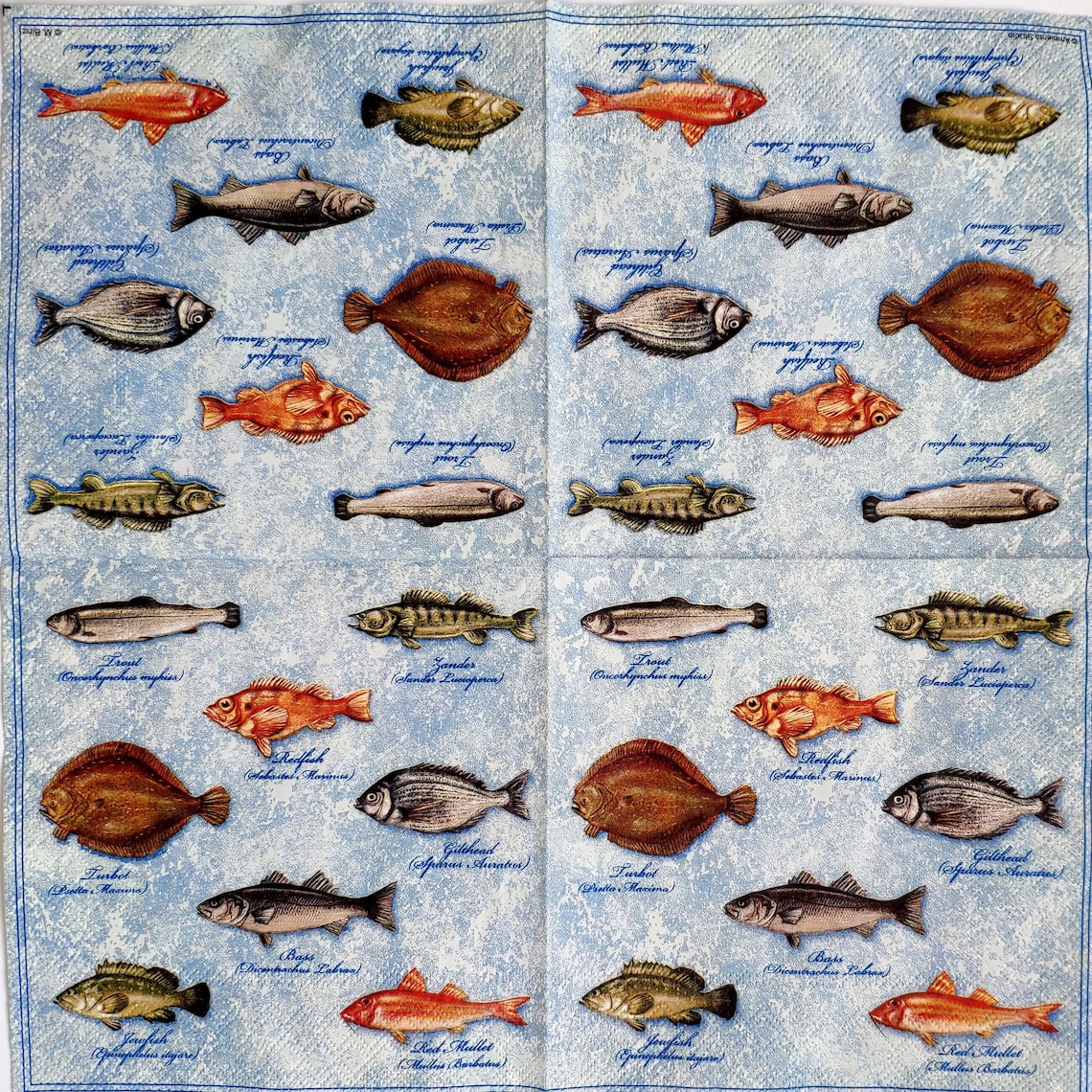 4 fish napkins decoupage Sea life paper napkins Fish with Etsy