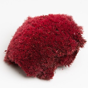 Preserved moss ball red, Artificial moss, Cushion moss, Moss decor, Terrarium moss, Moss balls, Stabilized moss, Moss wall art living