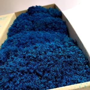 Blue Color Moss, Live Moss, Preserved Sheet Moss, Live Moss Variety, Decorative Moss Balls, Preserved Moss Wall Art, Stabilized Moss