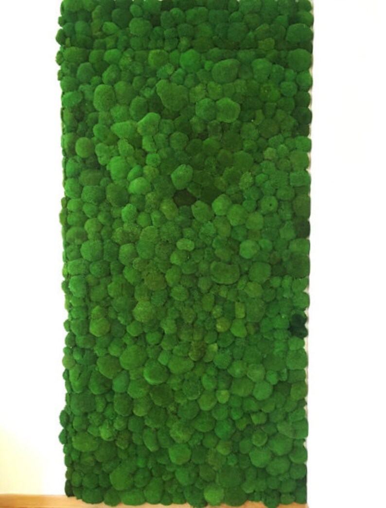 Moss Wall Art Ecofriendly Home Decor Plants Moss Floral Etsy