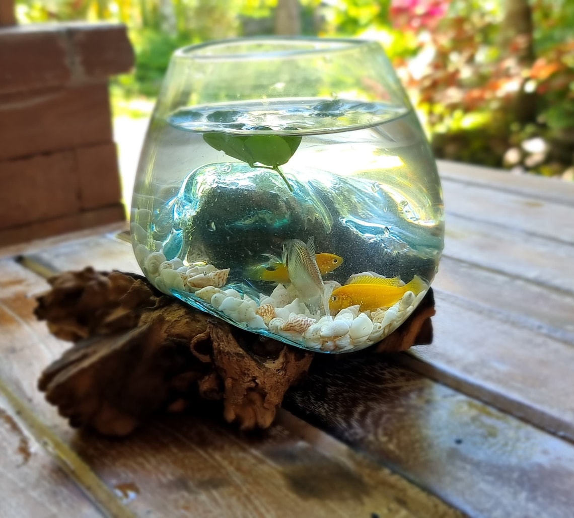 Glass Vase on Teak Root Molten Glass Wood Teak Root Wood Etsy