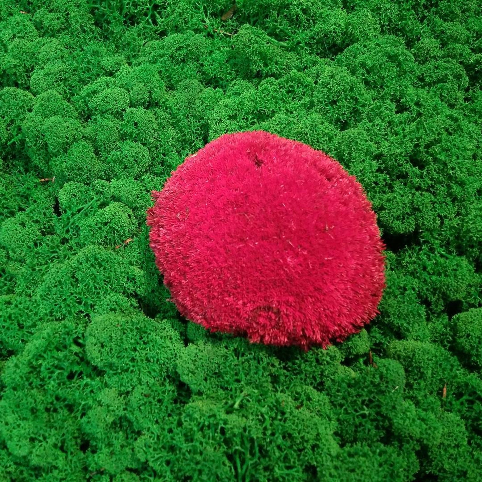 Moss Colorful Pillow Pillow Moss Moss Green Pillow Cover Etsy