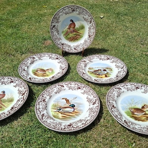 May include: A set of six round ceramic plates featuring various bird illustrations in the center and a decorative brown floral border pattern. Each plate displays a different species of bird in a natural setting, including ducks and pheasants.