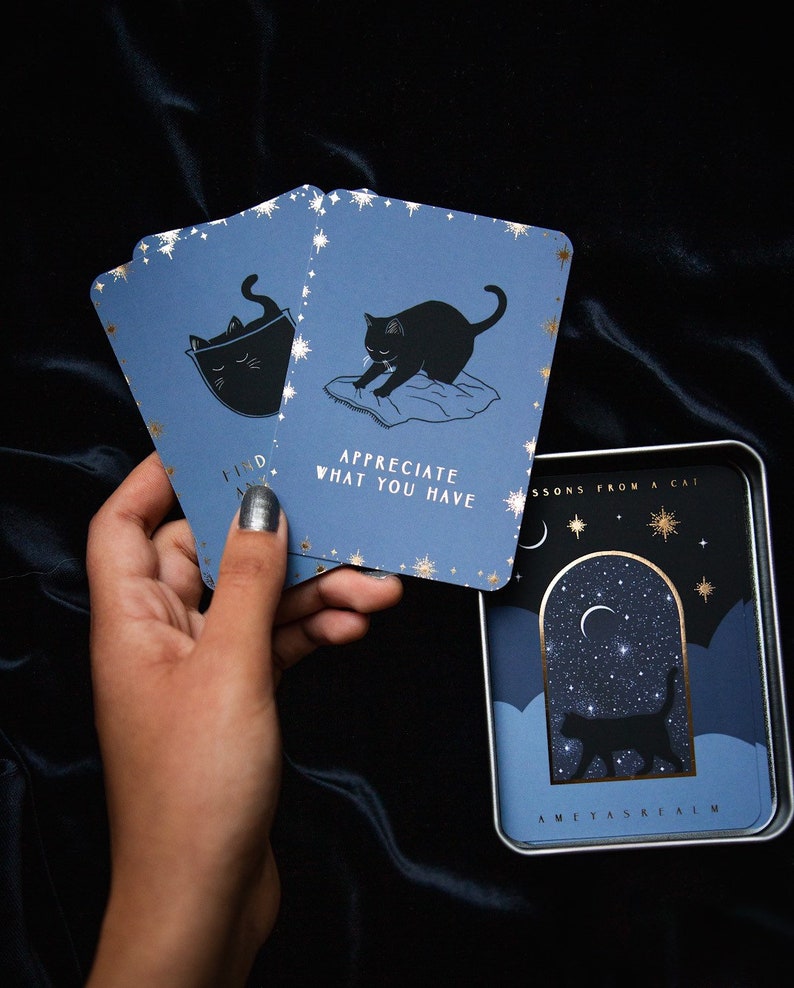 Lessons From A Cat // Card Deck image 7