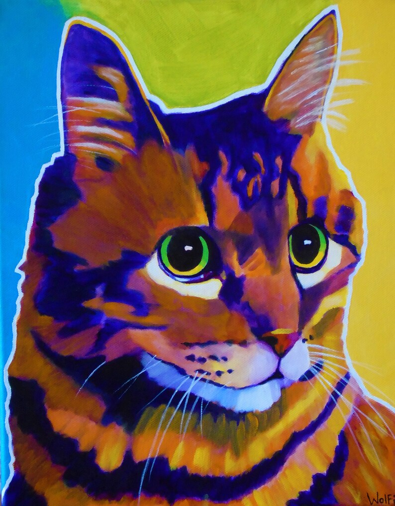 orange tabby kitten orange tabby kitten