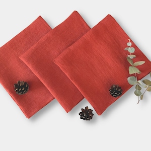 Terracotta Cloth Napkins Set of 2 4 6 8 10 12. Thanksgiving Napkins. Burnt Orange Autumn Wedding Napkins. Linen napkins 16 inch size.