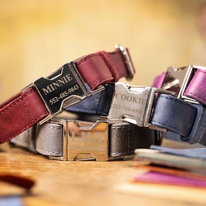 Engraved Dog Collar, Leather Dog Collar, Personalized Dog Collar, Custom Puppy Collar, Adjustable Leather Dog Collar, Custom Leather Collar