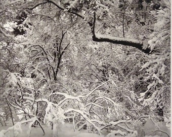 Ansel Adams Fine Art Print, FRESH SNOW, Yosemite Valley c. 1947, Vintage Bookplate Print, Perfect for Framing