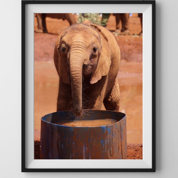 Cute Baby Elephant Photo | Baby Elephant with Fuzzy Trunk Drinking Water | PRINTABLE WALL ART