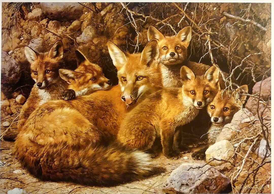 Carl Brenders Red Fox Fine Art Print full House Fox - Etsy
