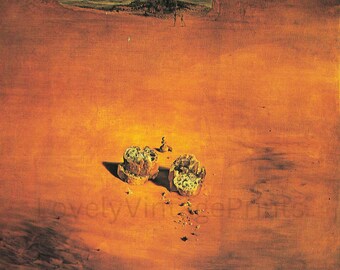 フラワー 花の絵 絵画 赤 バスケット ブラウン 茶色 水彩画の版画