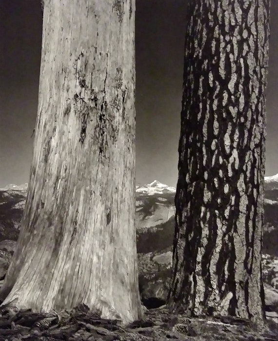 Ansel adams prints deals