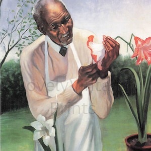May include: A painting depicting a person in a white apron inspecting a flower. The person wears a white shirt and a black tie. A white flower and a potted plant with pink flowers are also in view.