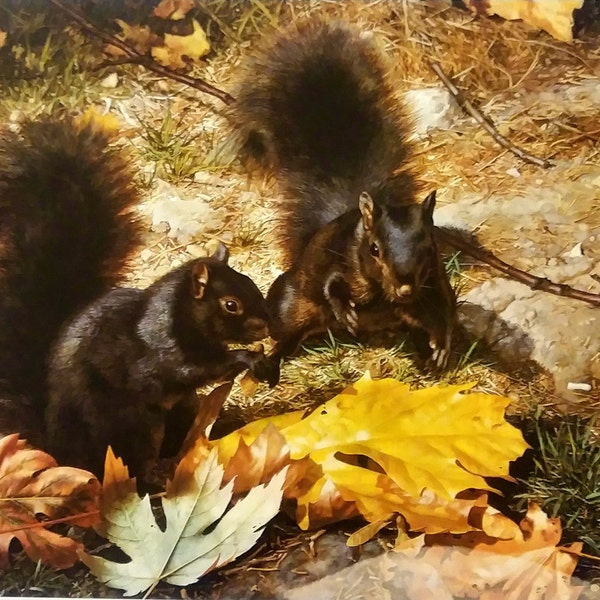 Carl Brenders Squirrels Squirrel  Fine Art Print, "Northern Cousins - Black Squirrels" 1987, Vintage 1994 Print - Perfect for Framing