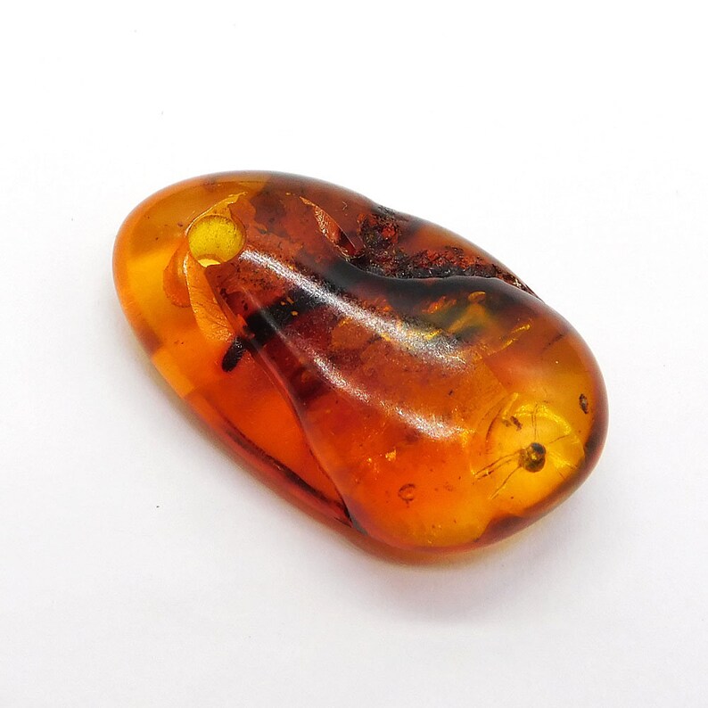Natural Fossil Amber Gemstone 14.70 Cts Original AMBER Etsy