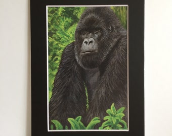 Gorilla - Matted 5x7" Print