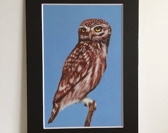 Owl - Matted 5x7" Print
