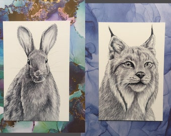 Rabbit, Lynx - Copic Drawings