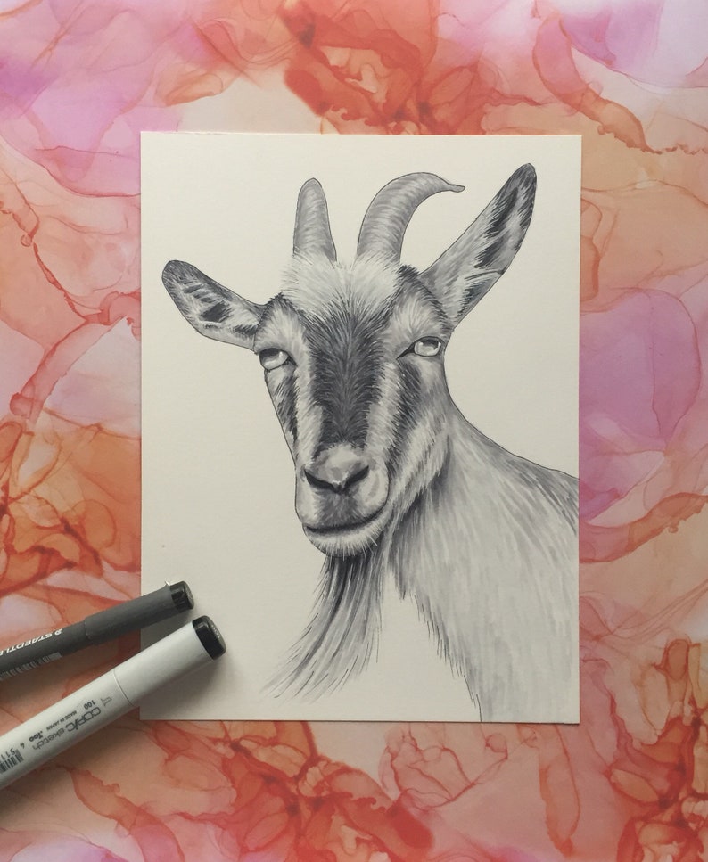 Goat Original Copic Drawing