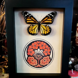 Monarch Butterfly, Danaus plexippus, Entomology, Real Butterfly Mount, Shadowbox, Black Frame, Julie de Graag Watercolor Print