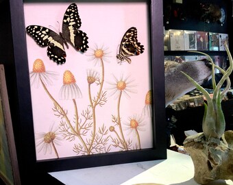 May include: A framed print of two black and white butterflies with yellow and white flowers on a white background.