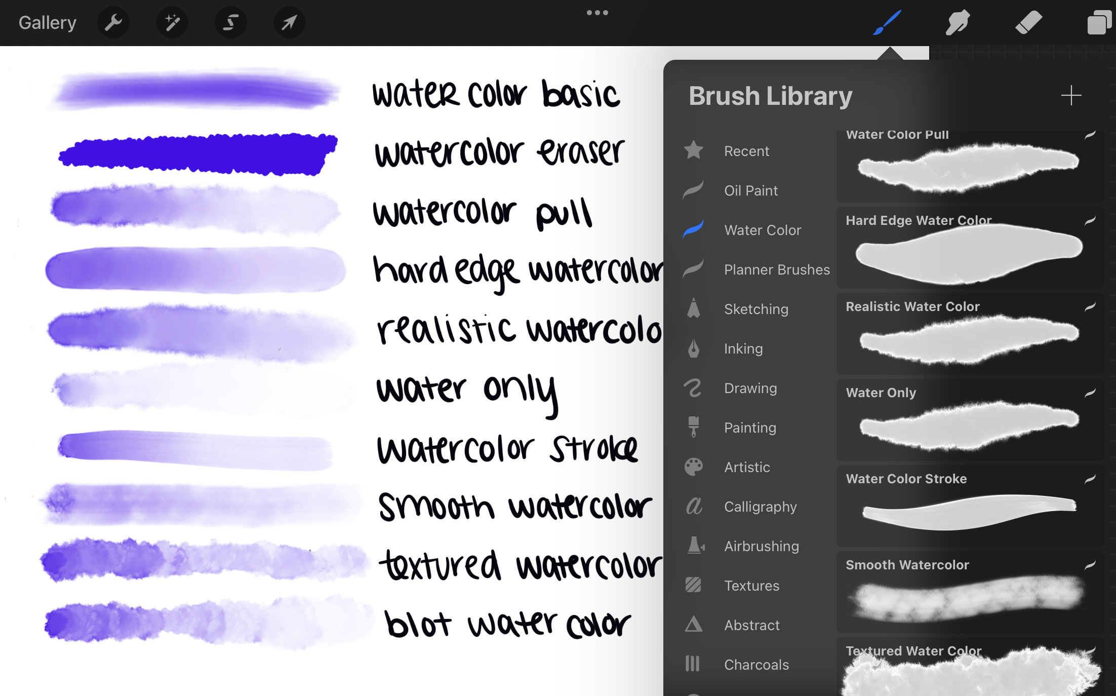 Water Color Brush Procreate Water Paint Brush Procreate The Watercolor  MaxPack Brushes For