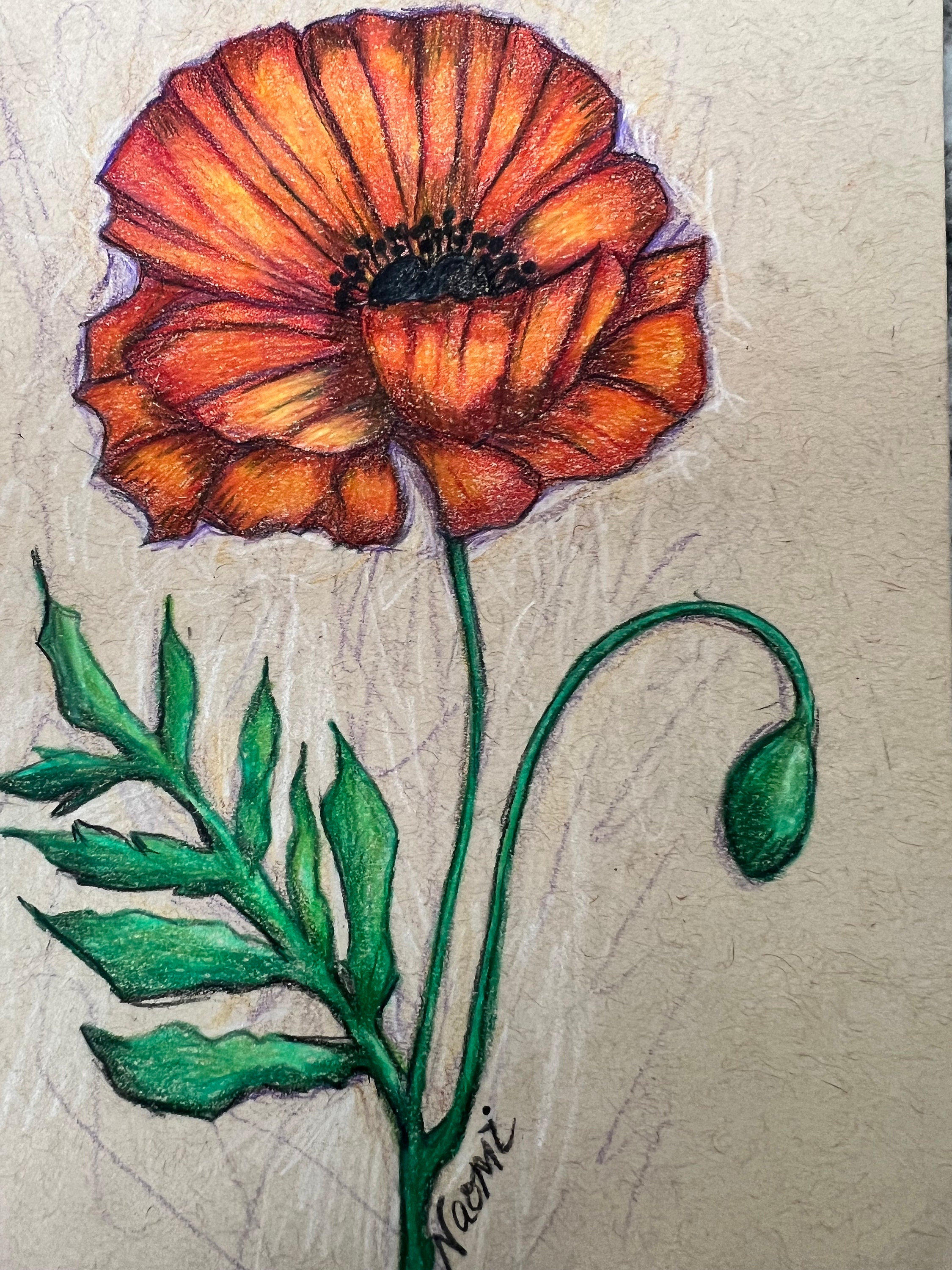 Watercolor Pencil Poppies
