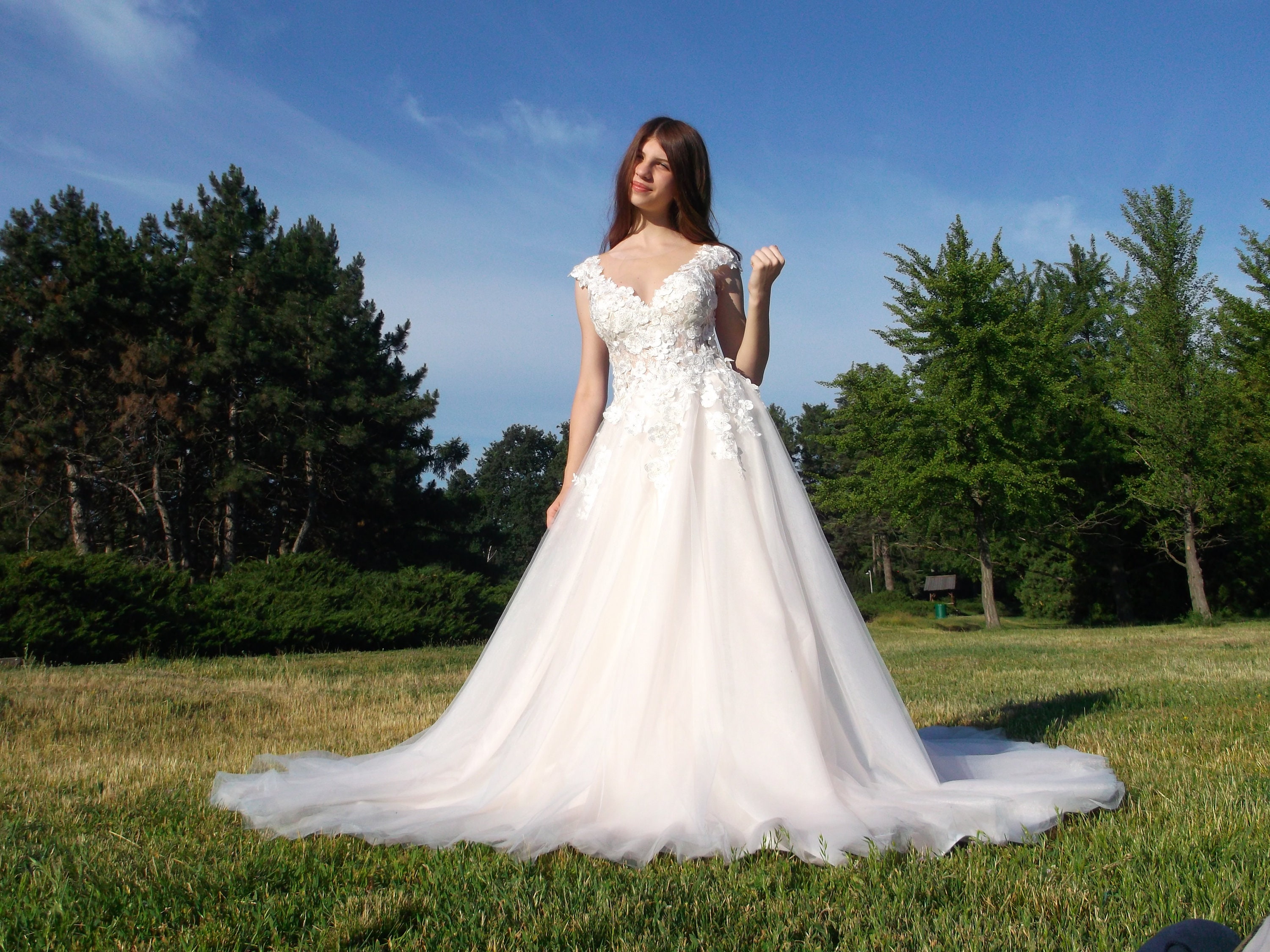 Color Wedding Dress Open Back Long Train Dress Long Wedding Etsy