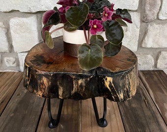 Rustic Cherry Wood Plant Stand – Handmade Live Edge Display Riser with Metal Hairpin Legs – Indoor Decor or Gift for Plant Lovers