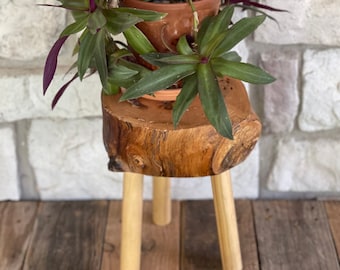 Live Edge Plant Stand
