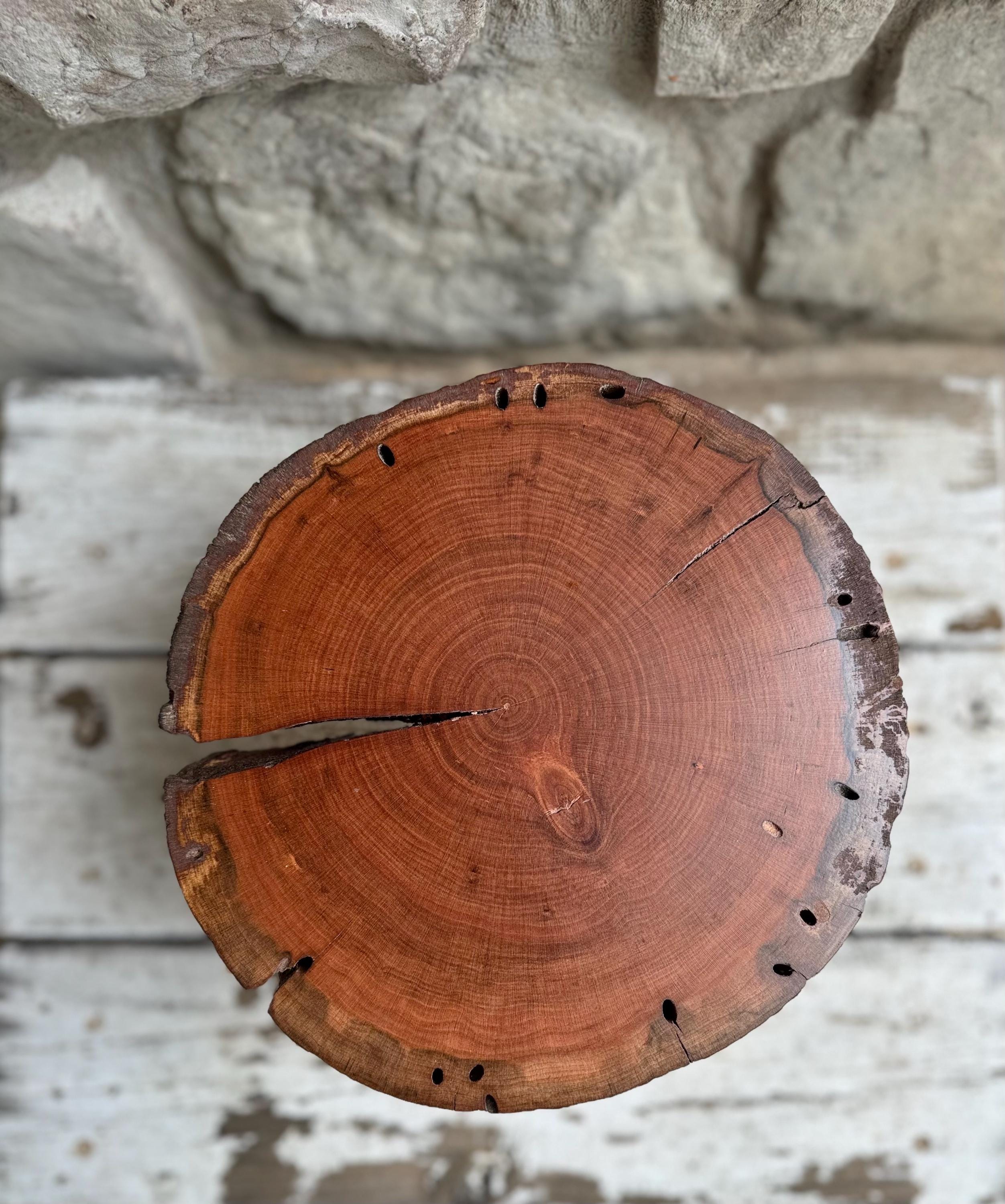 Rustic Cherry Wood Plant Stand – Small Live Edge Display Riser with solid wood legs – Handmade Wood Slice Table