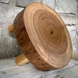 Western-esque Plant Stand