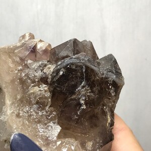 May include: A cluster of smoky quartz crystals with a hint of amethyst. The crystals are clear and have a smoky brown color. The cluster is about 3 inches tall and 2 inches wide.