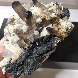 May include: A cluster of smoky quartz crystals with black tourmaline crystals on a matrix of white quartz. The crystals are arranged in a random pattern and have a variety of sizes and shapes.