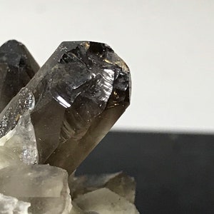 May include: A smoky quartz crystal cluster with a large, dark brown, faceted crystal on top. The crystal is surrounded by smaller, clear quartz crystals.