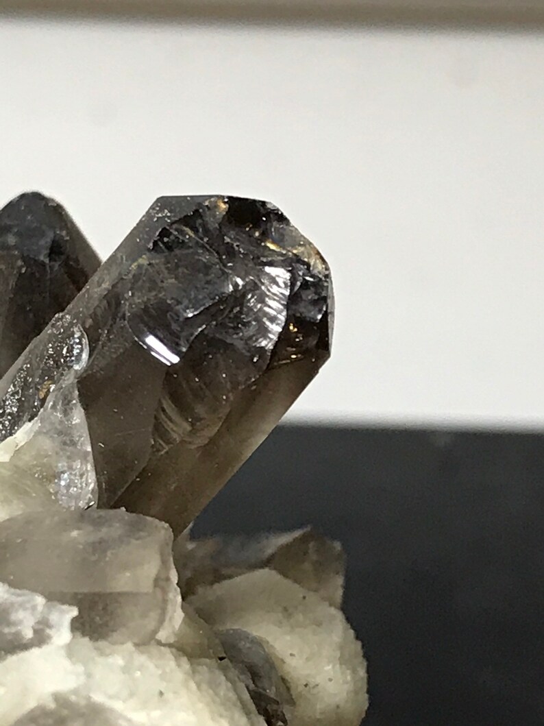 May include: A smoky quartz crystal cluster with a large, dark brown, faceted crystal on top. The crystal is surrounded by smaller, clear quartz crystals.