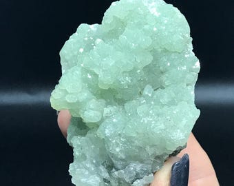 Prehnita